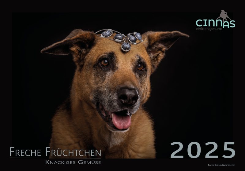 Cinnas Kalender 2025 - Freche Früchtchen