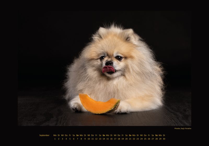Cinnas Kalender 2025 - Freche Früchtchen – Bild 5