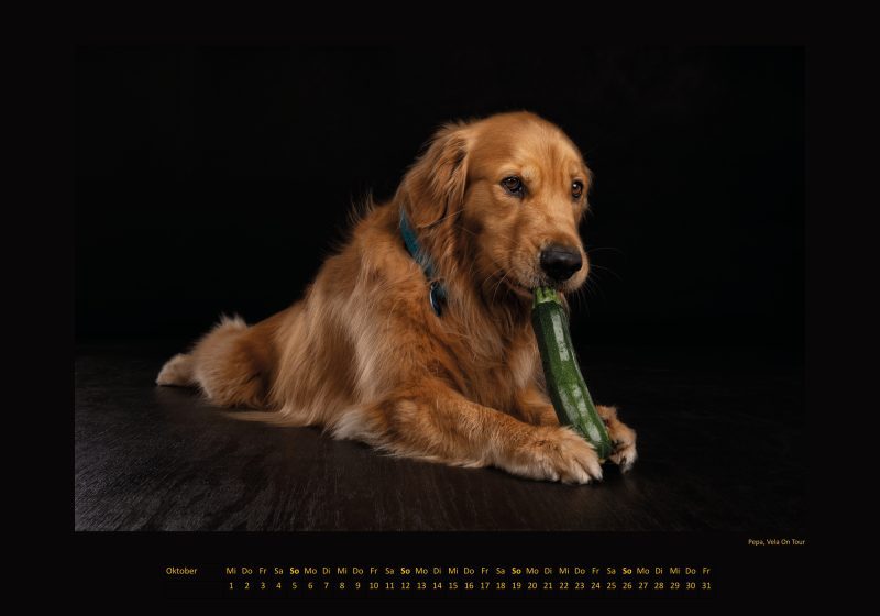 Cinnas Kalender 2025 - Freche Früchtchen – Bild 4