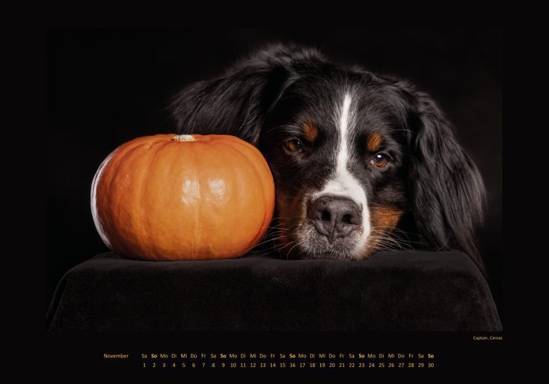 Cinnas Kalender 2025 - Freche Früchtchen – Bild 3