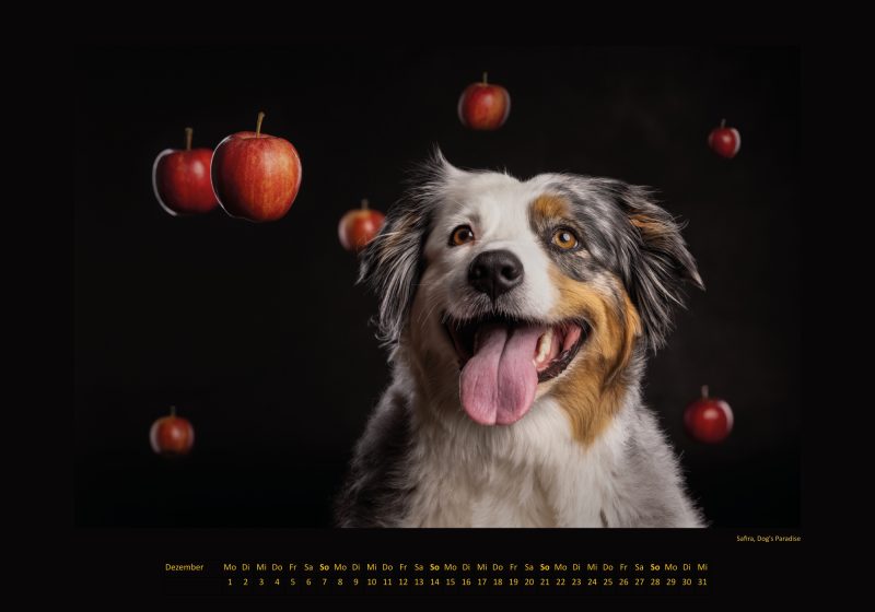Cinnas Kalender 2025 - Freche Früchtchen – Bild 2