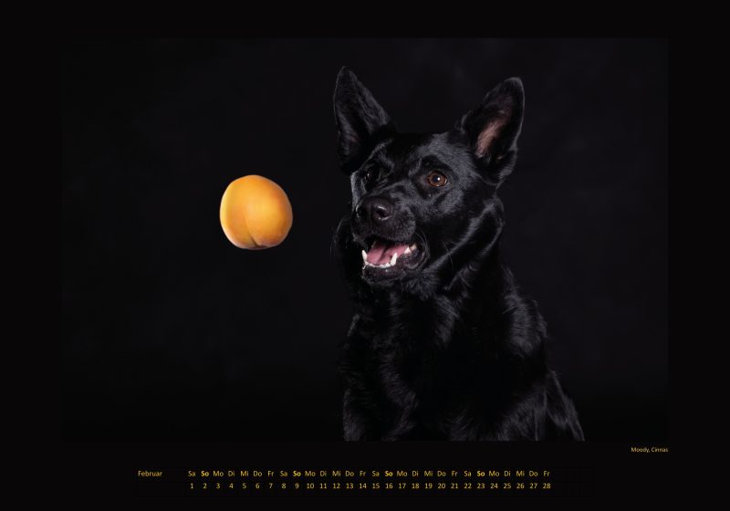 Cinnas Kalender 2025 - Freche Früchtchen – Bild 12