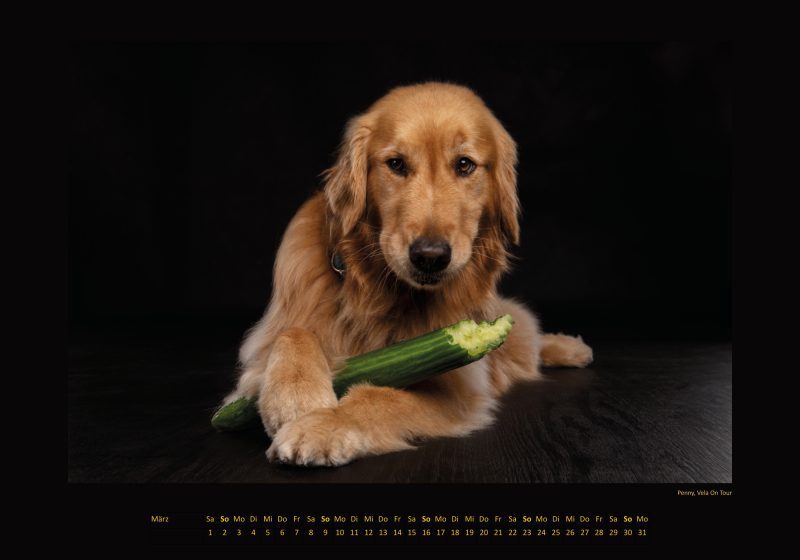 Cinnas Kalender 2025 - Freche Früchtchen – Bild 11