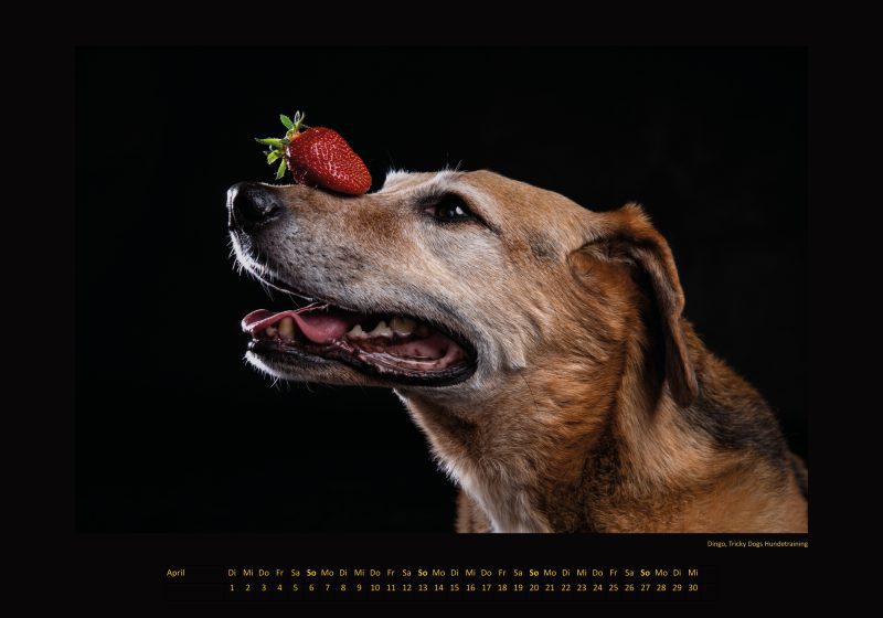 Cinnas Kalender 2025 - Freche Früchtchen – Bild 10