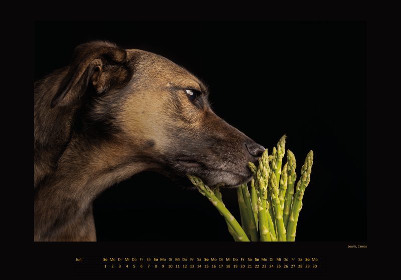 Cinnas Kalender 2025 - Freche Früchtchen – Bild 8