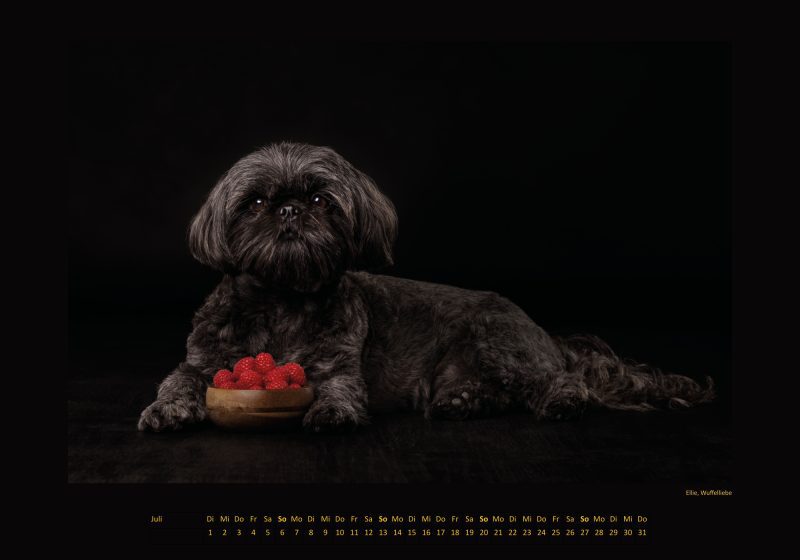 Cinnas Kalender 2025 - Freche Früchtchen – Bild 7