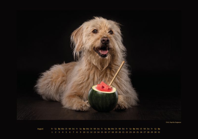 Cinnas Kalender 2025 - Freche Früchtchen – Bild 6